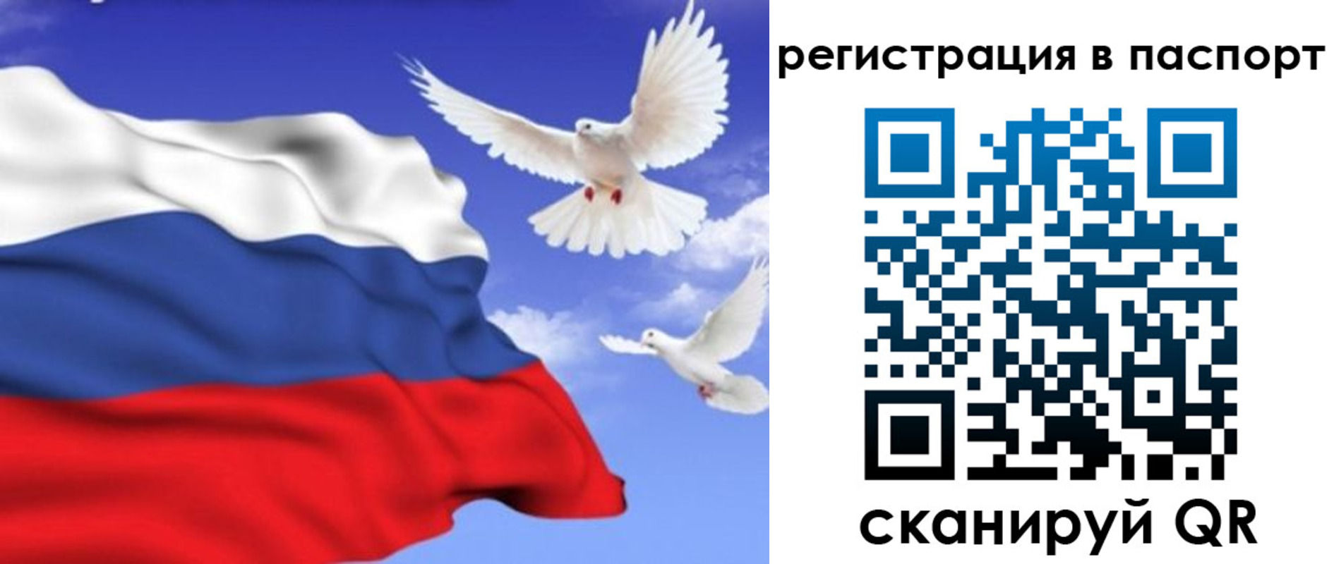 купить прописку в Дубовке